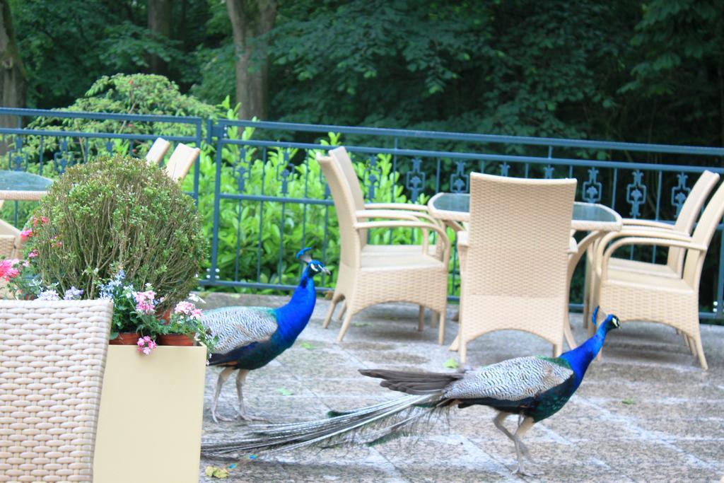 Akzent Hotel Hoxberg Beckum Kültér fotó